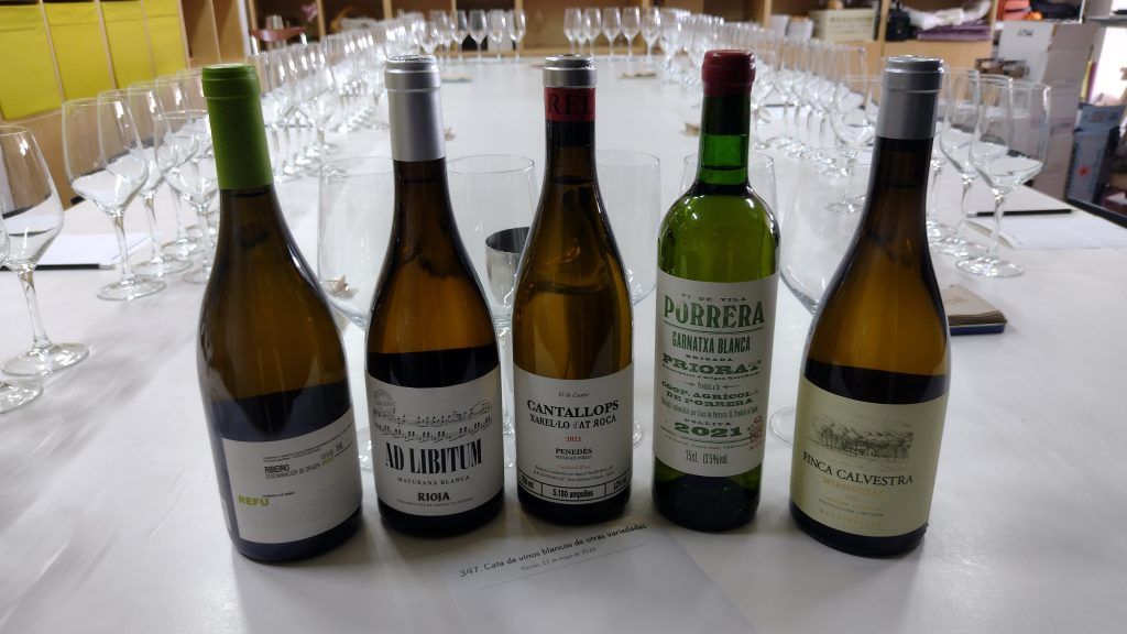347. Cata de vinos blancos
