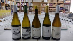 360 y 361. Vinos blancos de Andalucía